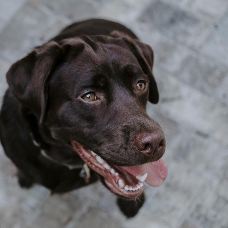 Mason Gupta, Client Relations Director, discussing corporate gifting strategy with business clients